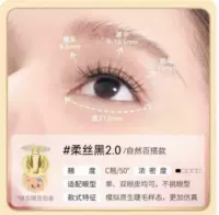 [Little Bear Chong Limited Edition] Шелковая черная коробка «все в одном» 2.0