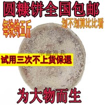 Fish bait Liu Master Zhiqiang with the same model to beat Hunan bran oil chaff big round bran cake sea pole raft fishing flap bait rapeseed