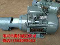 Direct selling vertical gear oil pump motor unit CB-B16JZ CB-B25 CB-B4 CB-B6 CB-B10JZ