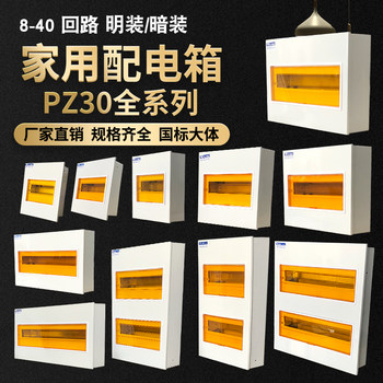Pz30 Circuit Distribution Box for Engineering Use, Surface-Mounted Household Circuit Breaker Box, Concealed Strong Current Box, National Standard Electrical Box, Main Control