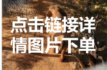 A link to the Jiayings home directory