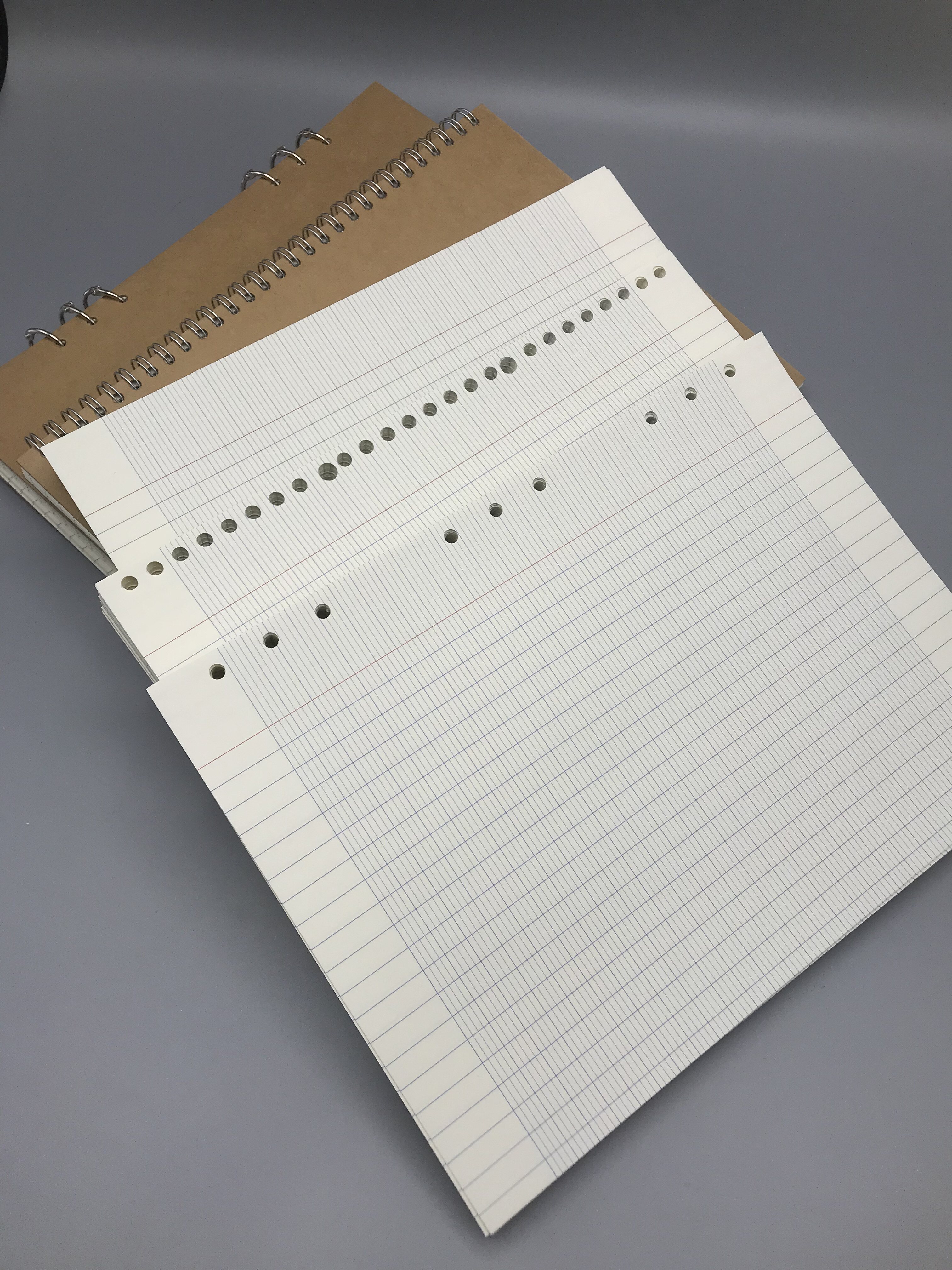 Red and blue foreign text French French writing exercise book 9 holes 26 holes for core European standard font practice foreign language major