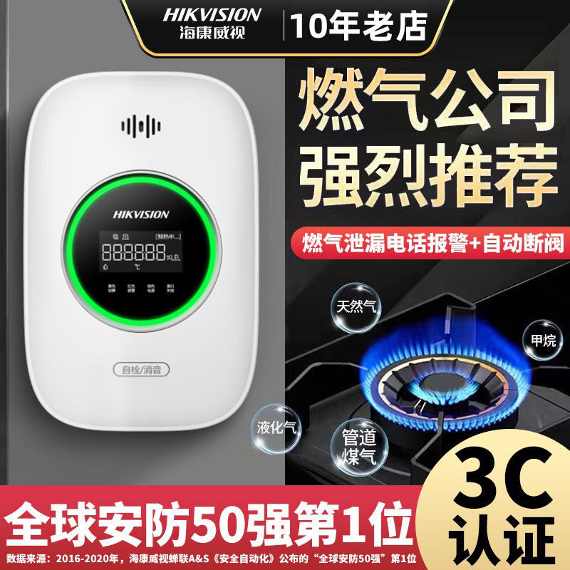 Hykvision Renewable Gas Coal Natural Carbon Monoxide Alarm Restaurant Commercial Wireless Leakage Detection