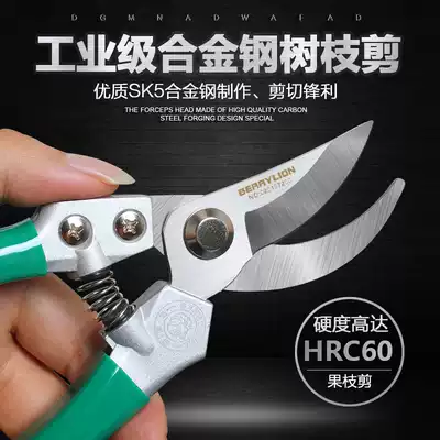 Stainless steel garden tools flower scissors, pruning branches, fruit tree scissors, thick branch scissors, fruit pruning scissors, gardening scissors