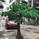 Artificial Pine Tree Large Indoor Floor-Standing Decoration Thuja Cembra, Thuja Orientalis, Beauty Pine, Landscaping Fake Tree, Welcoming Pine Bonsai
