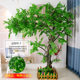 Simulated Tree Shape Ginkgo Tree Decoration Indoor and Outdoor Window Floor-Standing Red Maple Tree Scenic Spot Shopping Mall Exhibition Hall Exhibition Artificial Tree