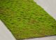 Simulated Lawn Moss Hair Transplant Stone Moss Stone Artificial Green Plant Lawn Carpet Rockery Decorative Turf Bonsai