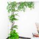 Artificial Vines, Decorative Vines, Simulated Plants, Climbing Vines, Branches, Trunks, Indoor Ceiling Vines, Flower Vines, Wedding Vines