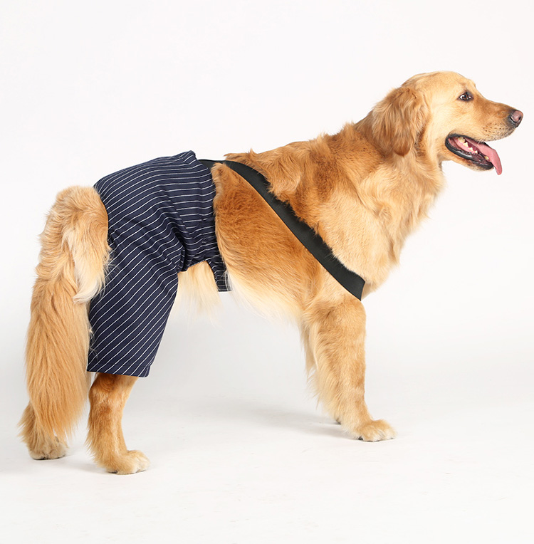 Quần áo chó lớn đẹp trai phù hợp với quần yếm chó Jin Mao Samoyed quần chó lớn quần áo chó cưng - Quần áo & phụ kiện thú cưng áo cho poodle
