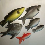 Реалистичные морские рыбки с животными для детского сада, обучение