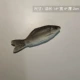 Черная морская рыба