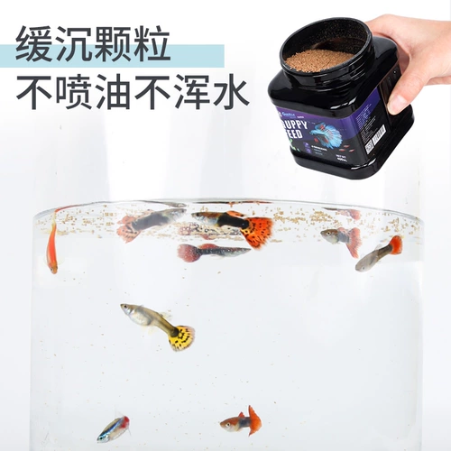 Живописная живописная павлинская рыба кормит тропические рыбы. Небольшая рыба кормила рыбу, рыба красный зеленый свет Микрогранты