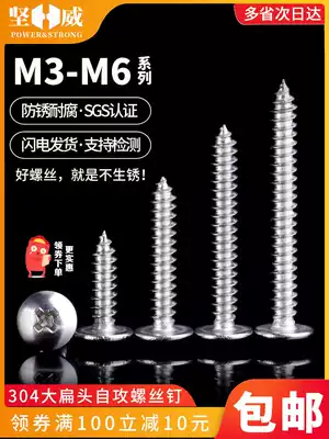 304 stainless steel flat head self-tapping screw M3M4M5M6 cross large umbrella head round head Zigong screw wood screw