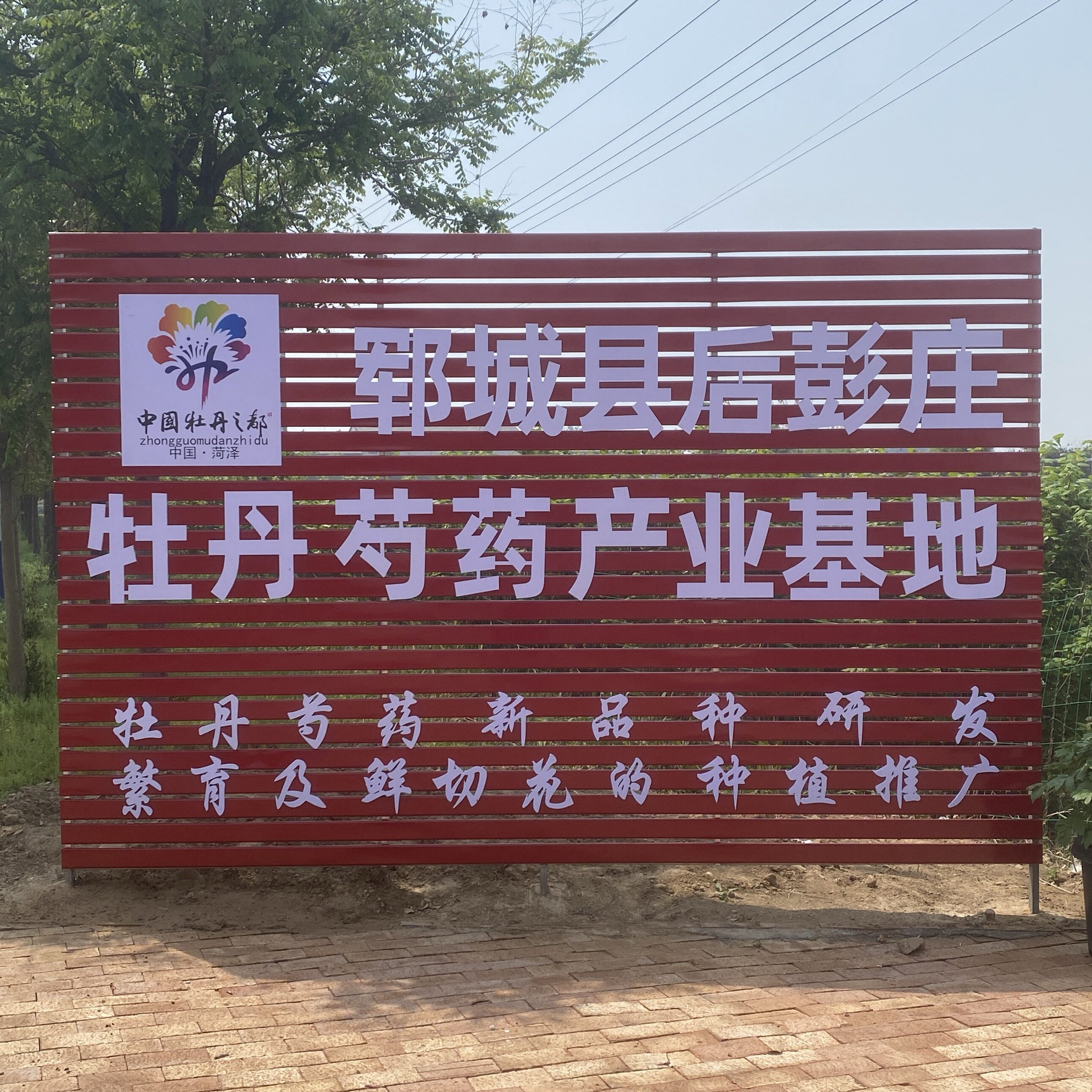 菏泽彭庄牡丹芍药产业基地的LOGO