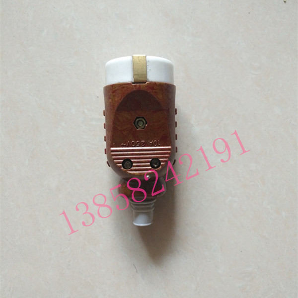 High-Pressure Steam Sterilizer Power Cord Without Plug, Pressure Sterilization Pot Connection Cable Accessories, Round Head 2-Hole Cable