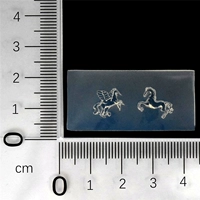 Плесень Nailo KT76-M221