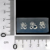 Nailo плесень KT76-M217