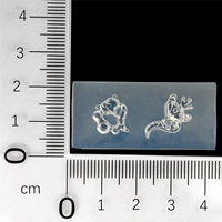 Nailo плесень KT76-M213