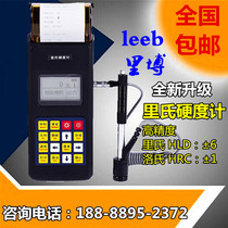 Ribel hardness tester LEEB110 Rockwell Brinell Vickers hardness portable metal hardness testing instrument