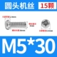 M5*30 (15)