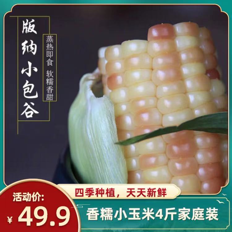 (Seasonal new goods)Yunnan Banna fresh glutinous corn vacuum sweet sticky corn cob meal replacement grains 4 pounds