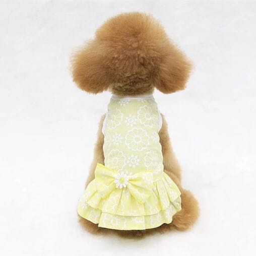 Lin em gái nhà giấy quần áo mùa xuân và mùa hè mới Teddy VIP công chúa lá sen - Quần áo & phụ kiện thú cưng nón cho chó