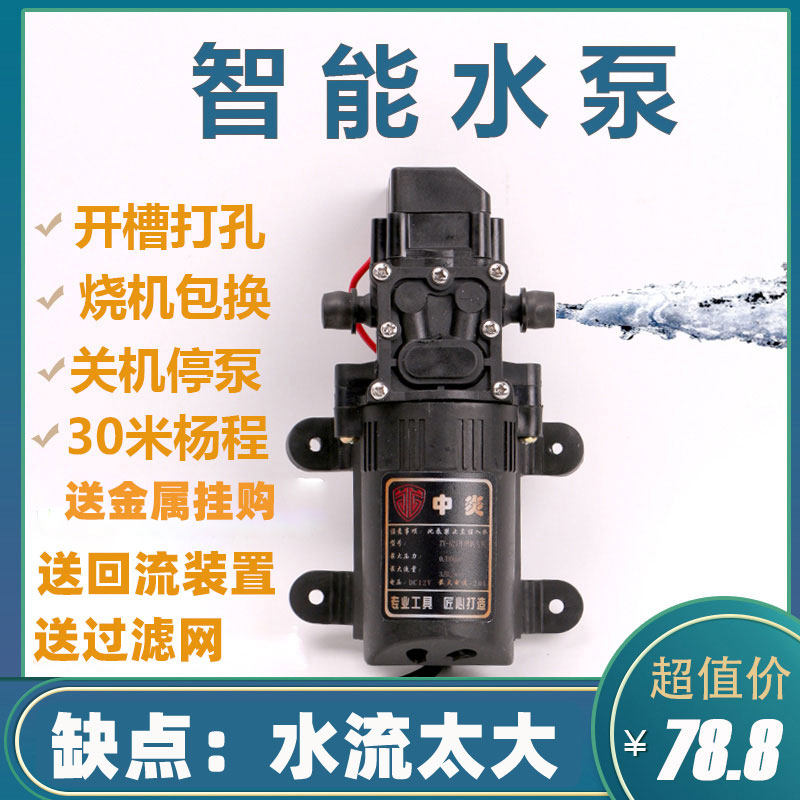 Dust-free grooving machine water pump 12 V DC nozzle atomization small linkage electric drill perforated water pump special self-priming pump