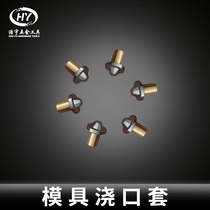 Mold casting PET pipe embryo mould mould mould mould mould injection mould chirping nozzle