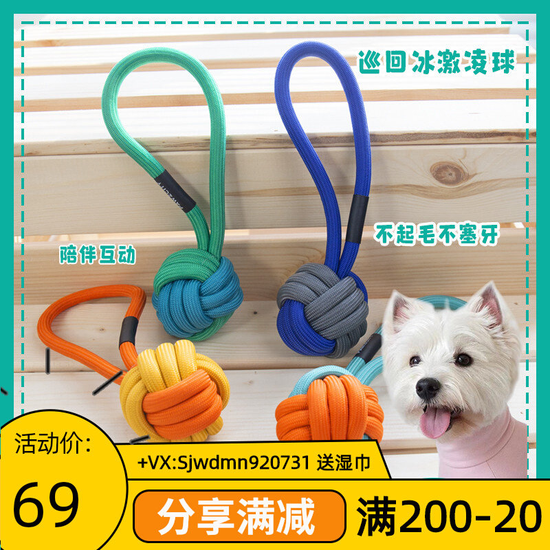 Gossip Pet PAWZCITY Holds Urban Dog Squeeze Toys Neon Ball Interactive Tuttle Rope Bite Ball