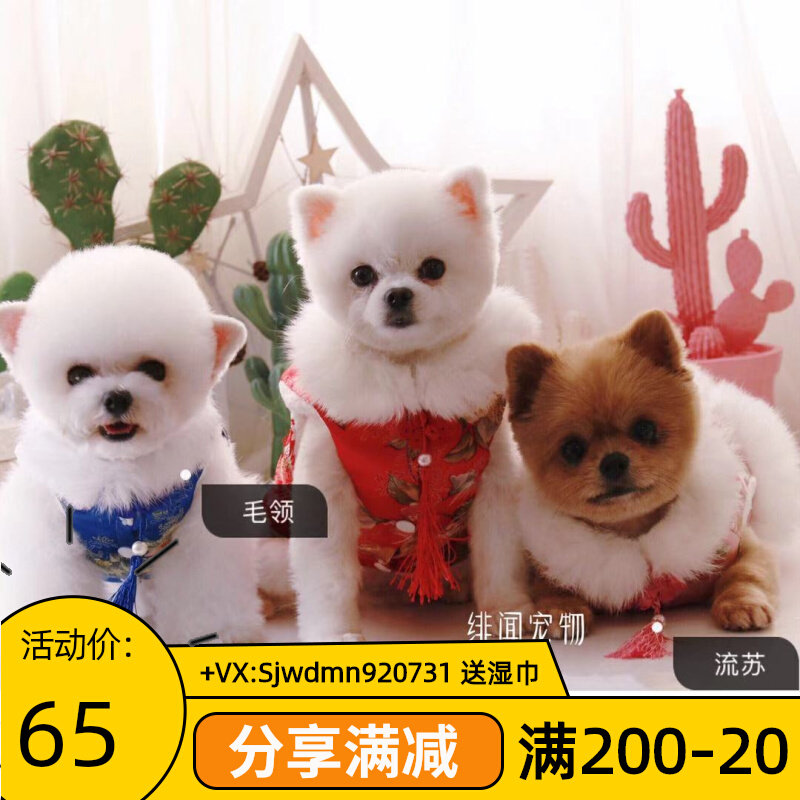 Give me this tank dress I can topple the whole earth dog clothes in autumn and winter Chinese wind New Year