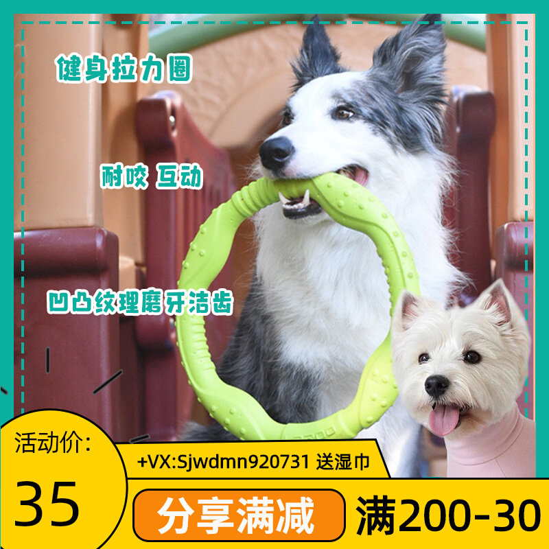 Crimson pet laroo Leno toy pet dog fitness circle resistant to toy training Toy pull circle 