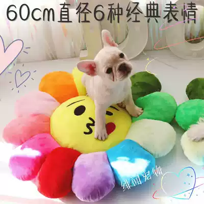 This is a lot of cushions for my family's own use because I use special practical kennel cushions in spring, summer, autumn and winter