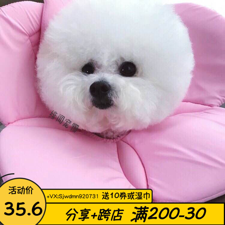 Beautiful buddy soft cloth is not a wire Elizabeth ring anti - licking cream anti - bite hair flower pet dog