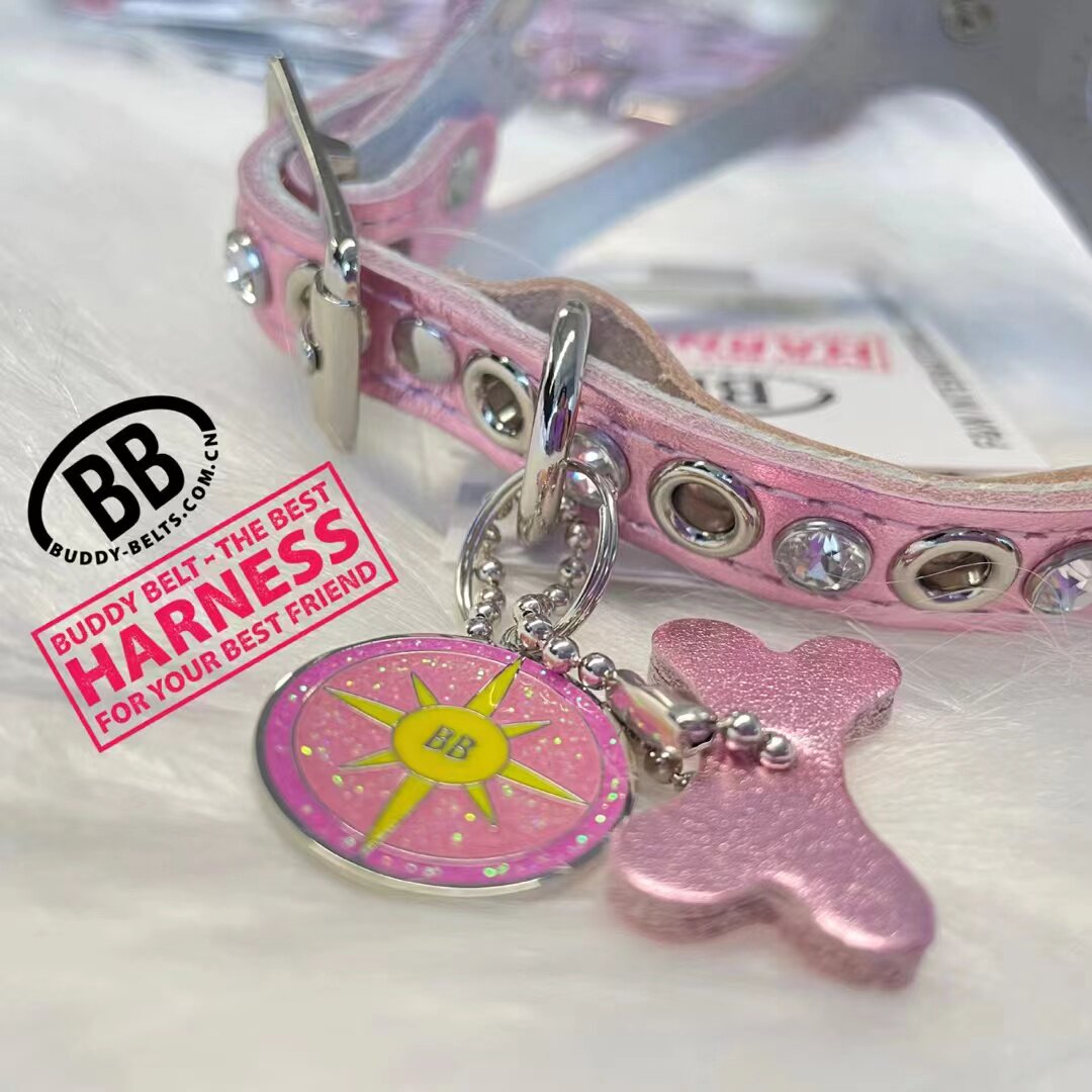 Canada BB new chest back pre-sale Yorkshire Marzis genuine leather small dog tea cup traction rope inlaid drill