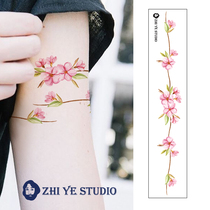 Zhi Ye original peach blossom Vine literary tattoo sticker girl pink ins arm ring wrist ankle plant cherry blossom waterproof