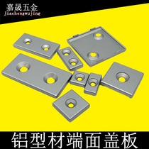 Industrial profile accessories zinc alloy 3040806045 capping profile end cover cover plate profile bracket choke plug