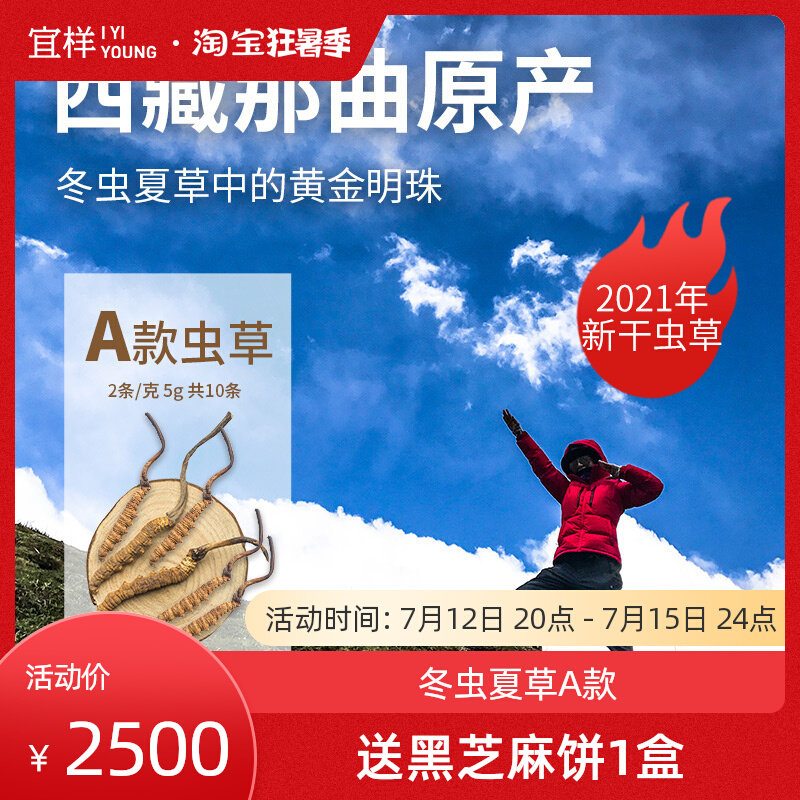 Isample Yin Yi Tibet's Cordyceps sinensis A section of the Cordyceps militaris dry goods nourishing pot soup stock tea 10 strips of 5g