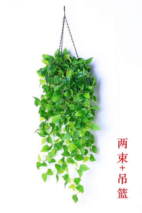 Tường trang trí cây xanh mô phỏng mây treo tường hoa lan nội thất phủ tường cây giả hoa treo hoa - Hoa nhân tạo / Cây / Trái cây bình hoa giả để phòng khách