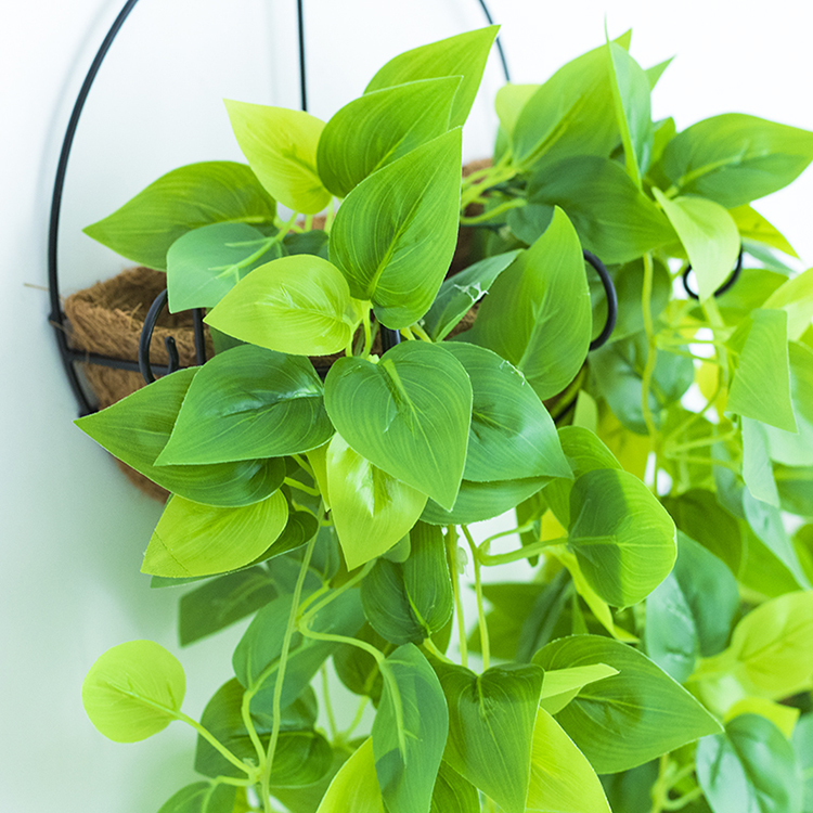 Cây mô phỏng trang trí chậu hoa giả trồng treo tường bề mặt cây xanh treo giỏ treo hoa lan treo trong nhà - Hoa nhân tạo / Cây / Trái cây hoa giả cao cấp