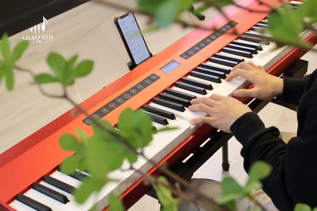 Qiaozhi 269 George electric piano Qiaozhi digital piano 88-key heavy hammer Qiaozhi electric piano model complete