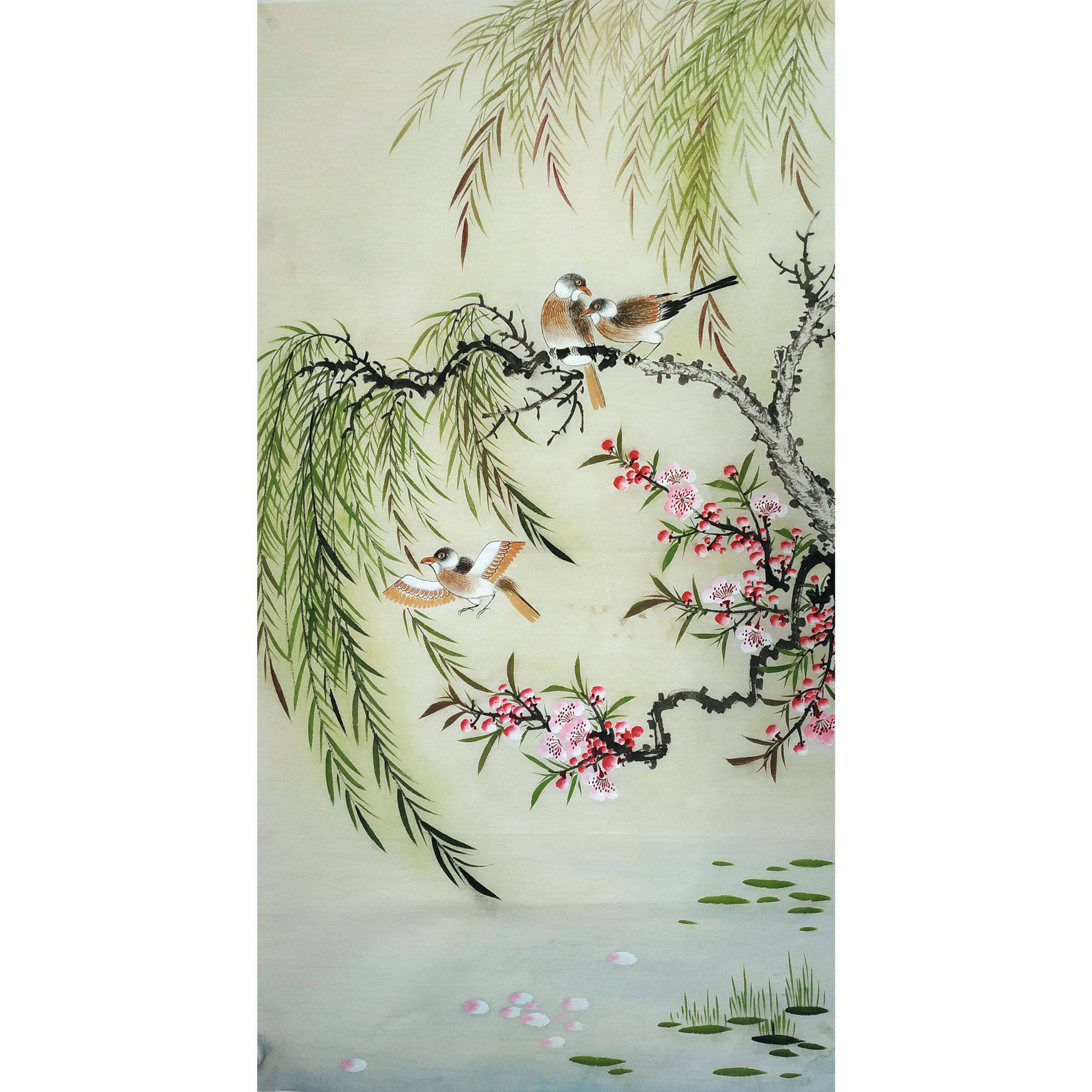 Chinese painting finished flower and bird painting weeping willow three feet small freehand brushwork pure hand-painted authentic painting core unmounted no money 05d8