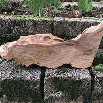 Camphor wood logs soil-sinked old roots camphor wood blocks wardrobe insect-proof and moth-proof beads car odor removal