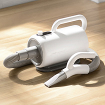 (Bellas) same style hair dryer with high power and silent