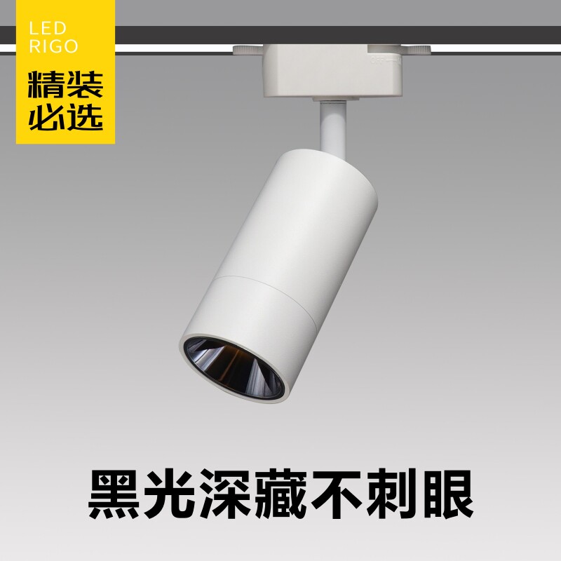 Ruijiu-ray light LED track lamp Nordic creative home living room backroom wall merchants install small-shot light warm