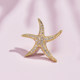 ປານ້ອຍ starfish ຕ້ານການ exposure ປຸ່ມ collar pin ຄໍຄໍຕົບແຕ່ງ V-neck blouse suit brooch corsage pin accessories