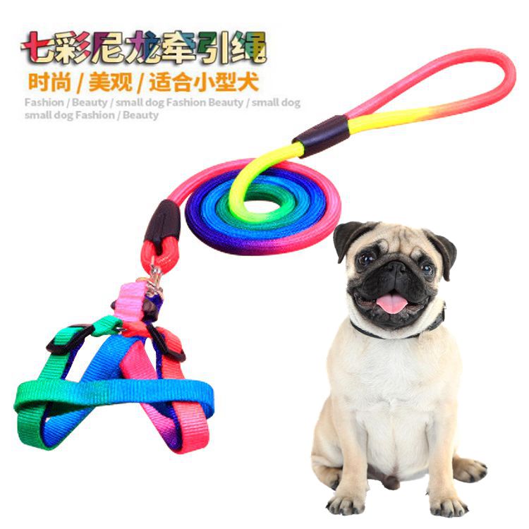 Dog leash small dog tie dog leash pet leash dog leash dog chain dog chest hug baby bag walking dog leash Teddy