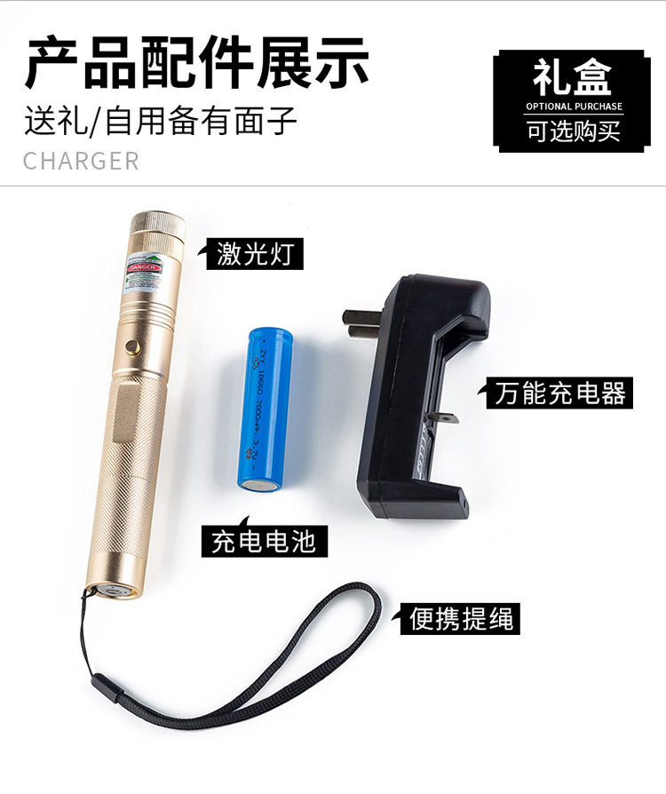 303 Laser Flashlight, Green Light Starry Sky Infrared Laser Lamp, shooting pen, Marine Sales office Laser Charging flashlight pic 14