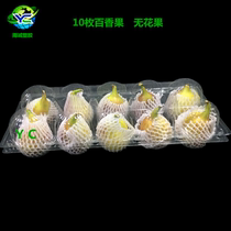  New product 10 fig passion fruit Mangosteen plastic tray Transparent blister fruit packaging box China