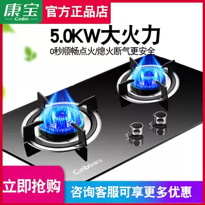 2QL303B gas furnace natural liquefied gas gas furnace stove embedded dual-purpose gas stove