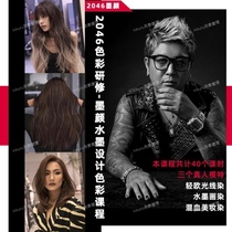 2046 Color Training Ink Color Ink Design Color Course Hairdressing and Hair Dyeing Video Course Ink Painting Dyeing Light Dyeing